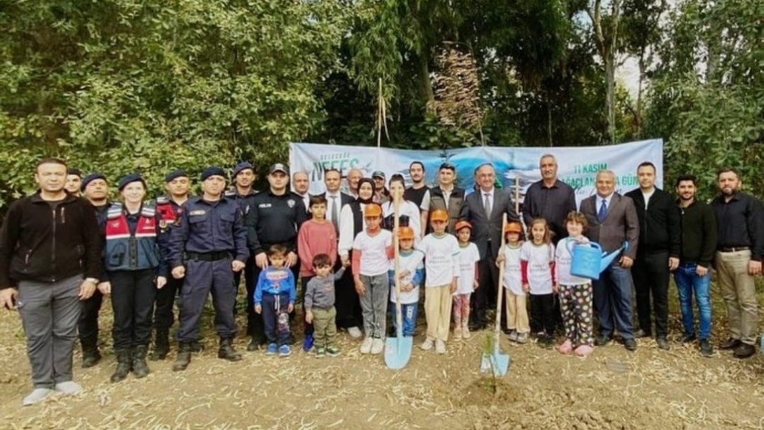 11 Kasım Milli Ağaçlandırma Günü